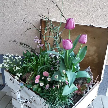 Ferienwohnung Pusteblume Rheinhausen